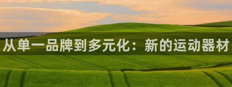 意昂体育5(KGAME)招商电话是多少：从单一品牌到多元化：