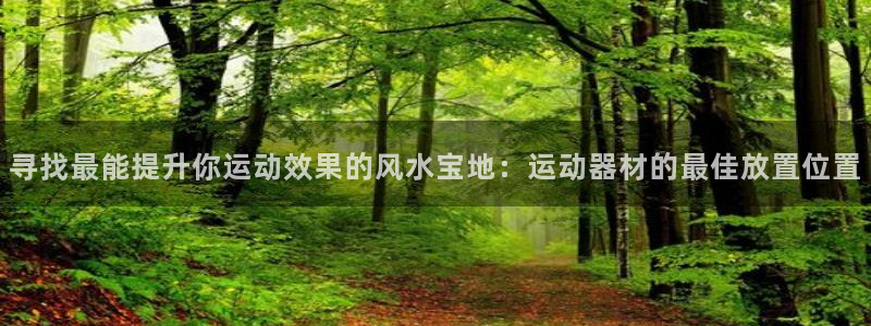 意昂体育5(KGAME)娱乐：寻找最能提升你运动效果的风水宝