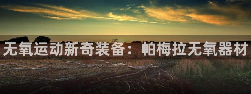 意昂5(KGAME)娱乐首页官网下载：无氧运动新奇装备：帕梅