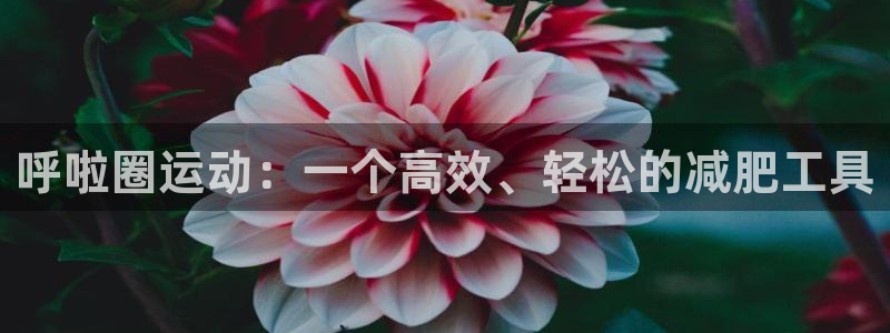 意昂体育5(KGAME)招商电话号码：呼啦圈运动：一个高效、