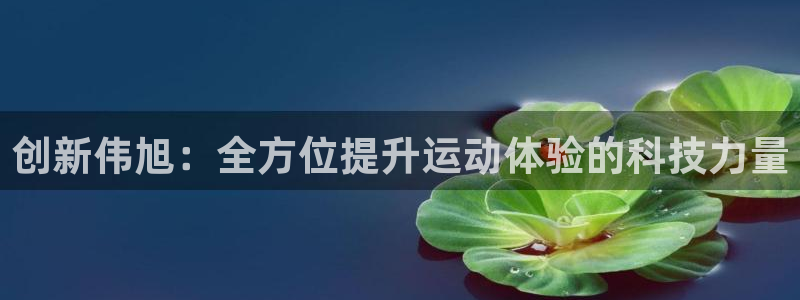 意昂体育5(KGAME)平台注册：创新伟旭：全方位提升运动体