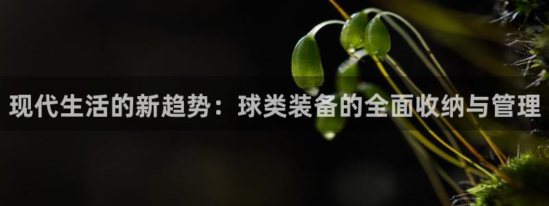 意昂5(KGAME)官网：现代生活的新趋势：球类装备的全面收