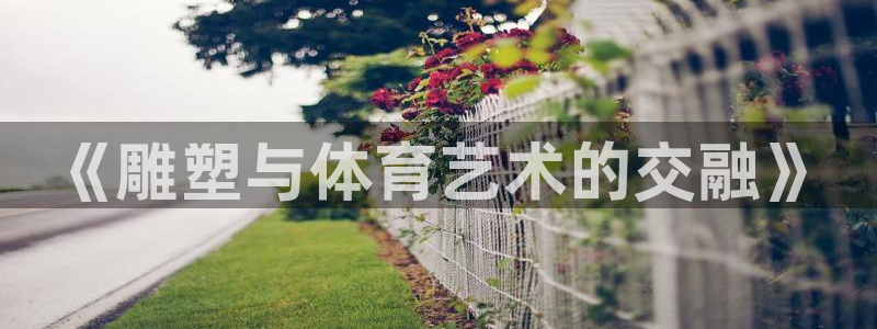 球速体育