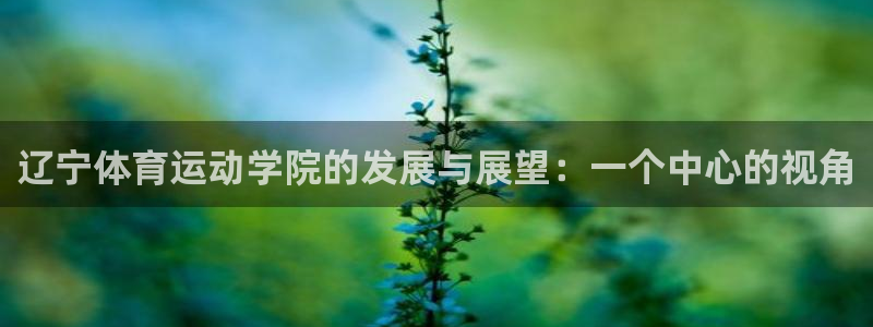 球速体育：辽宁体育运动学院的发展与展望：一个中心的视角