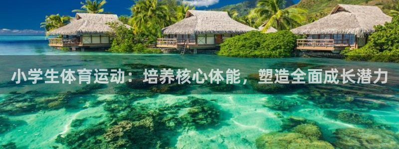 球速体育：小学生体育运动：培养核心体能，塑造全面成长潜力