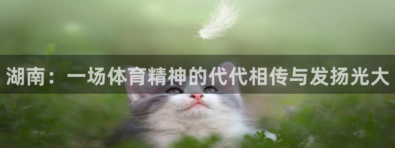 球速体育