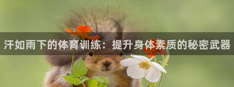 球速体育：汗如雨下的体育训练：提升身体素质的秘密武器