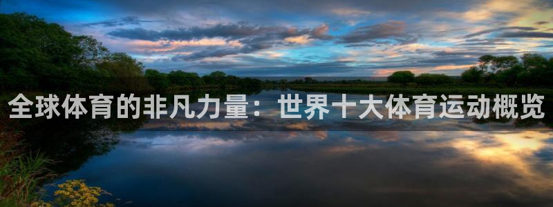 球速体育：全球体育的非凡力量：世界十大体育运动概览