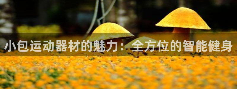 意昂体育5(KGAME)招商电话号码是多少号:小包运动器材的