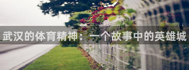 球速体育：武汉的体育精神：一个故事中的英雄城